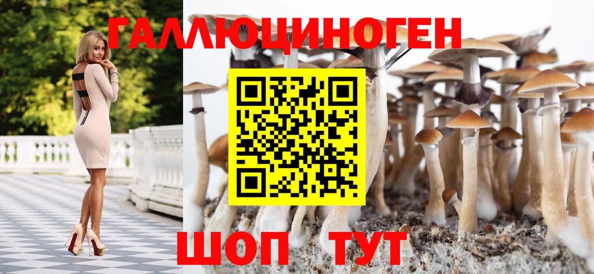 Галлюциногенные грибы мицелий  Вход с VPN  Ржев 